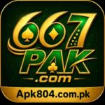 667PAK Game feature interface