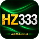 HZ333 Game feature image