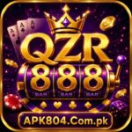 QZR888 Gamefeature image