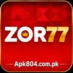 ZOR77 Game feature interface
